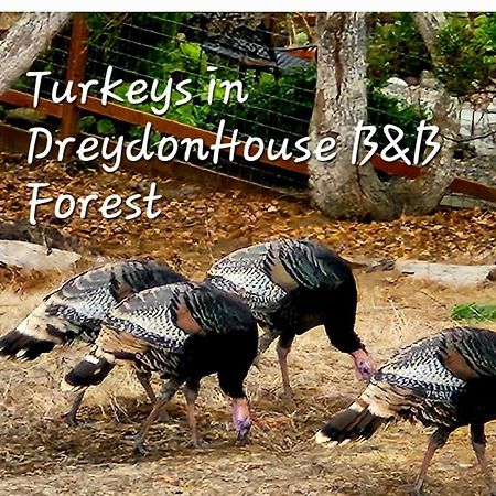 Dreydon House Bed And Breakfast カンブリア エクステリア 写真