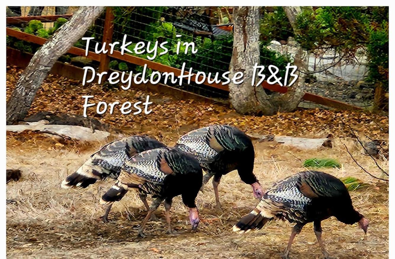 Dreydon House Bed And Breakfast カンブリア エクステリア 写真